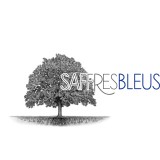 Les Safres Bleus by Axel Chambert