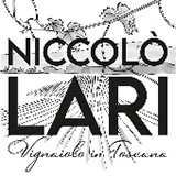 Niccolò Lari 