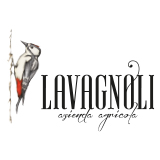 Lavagnoli 