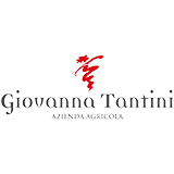 Giovanna Tantini