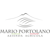 Mario Portolano