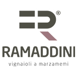 Ramaddini