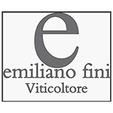 Emiliano Fini 