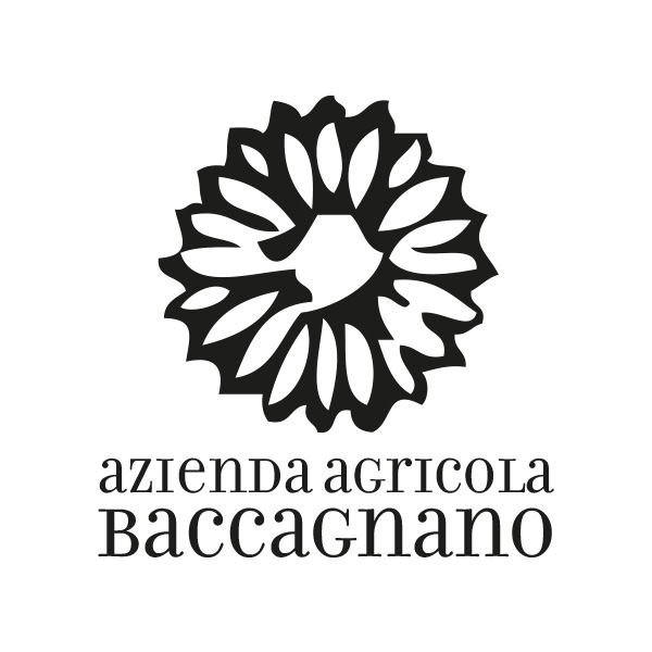 Baccagnano