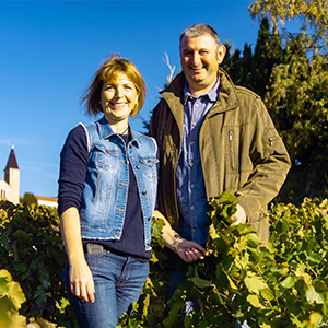 Domaine Guillot Gonin