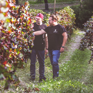 Matteo & Francesco Dell'Aera