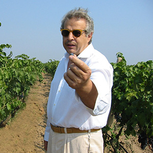 Elio Taurino 