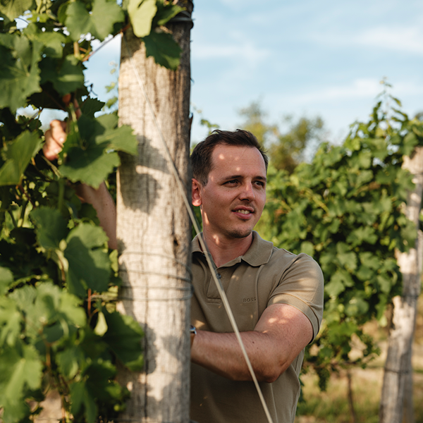 Alexander Paul Alexander Paul